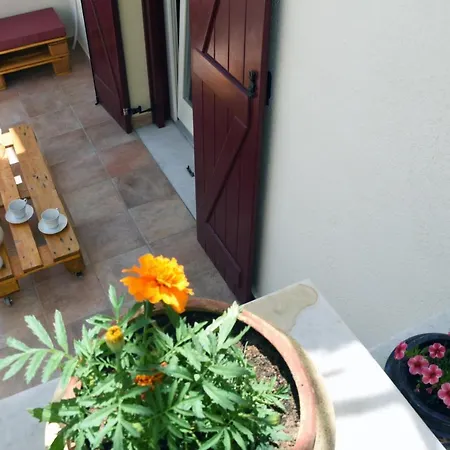 Little Yard & #1 Apartment